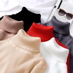 Turtle Neck Sweater