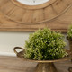 Foliage Half Ball