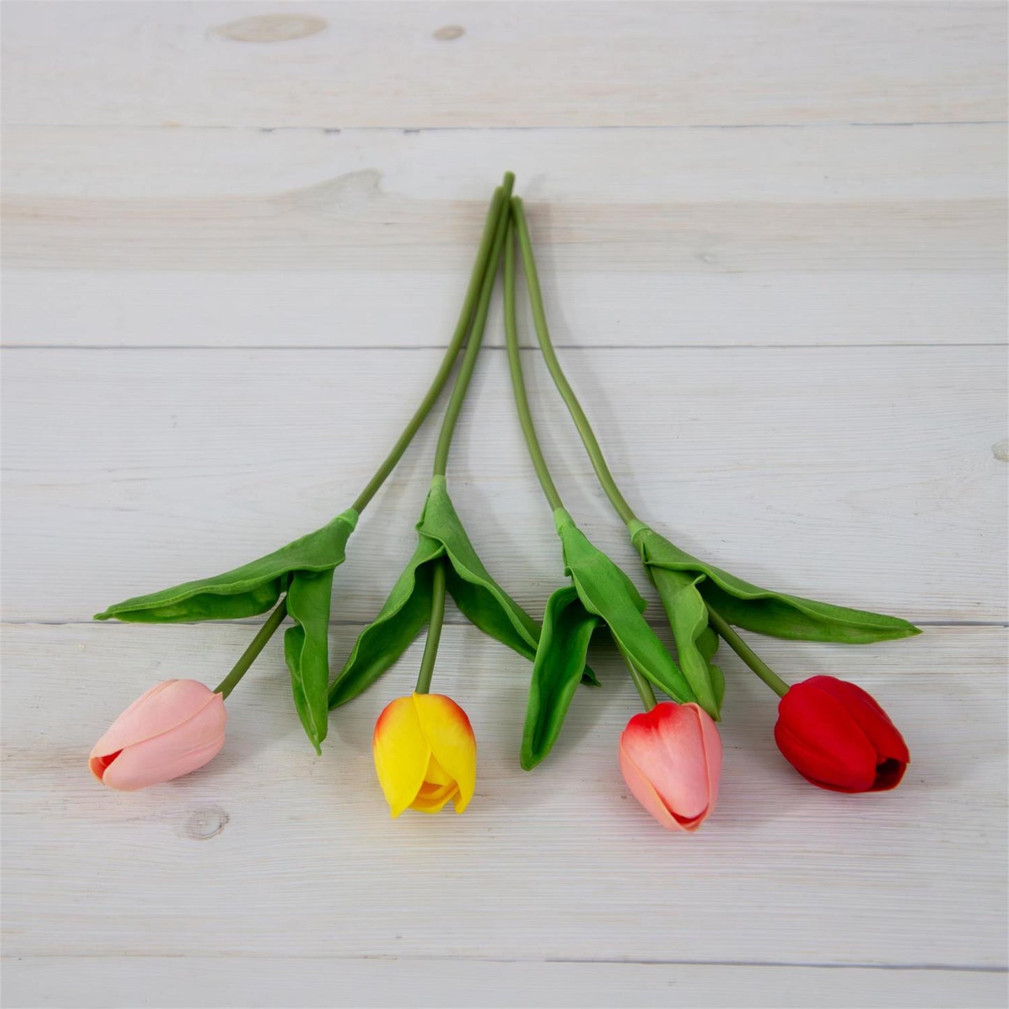 Tulips S/4