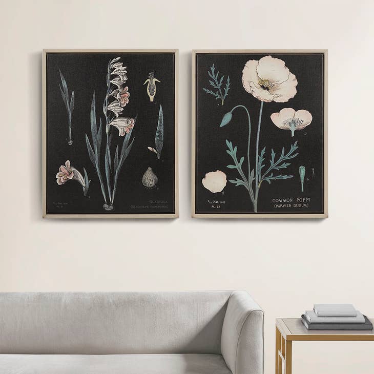 S/2 Botanical Vintage Plant Study Canvas Wall Art, Black