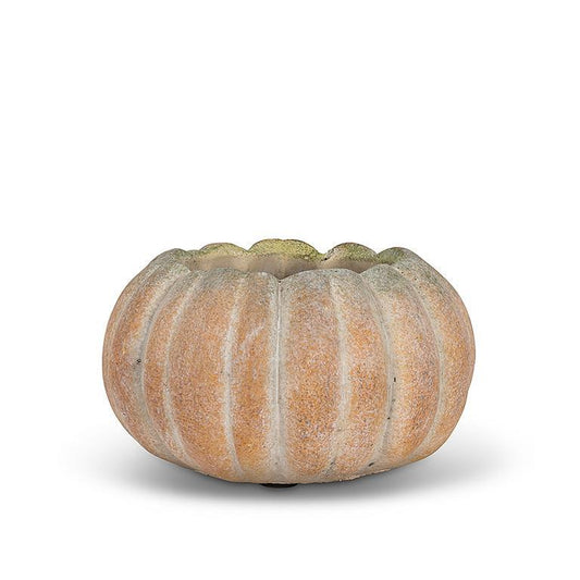 Pumpkin Planter- Low Small
