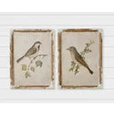 Birds on Branches Framed Pics