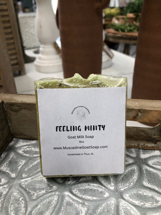 Feeling Minty-Goat Milk Soap