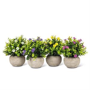 Petite Flowering Pots