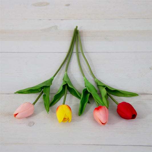 Tulips S/4