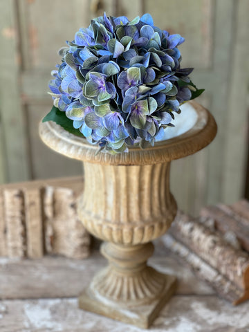 Cameo Hydrangea-Watercolor