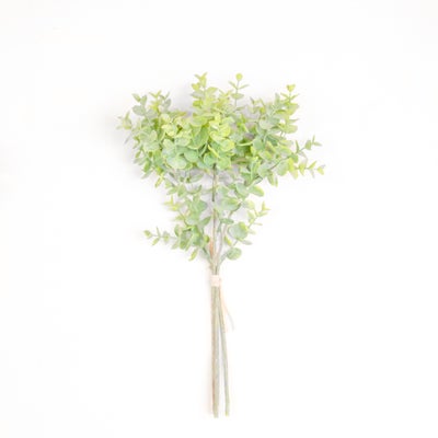 Eucalyptus Bunch-3 Stem