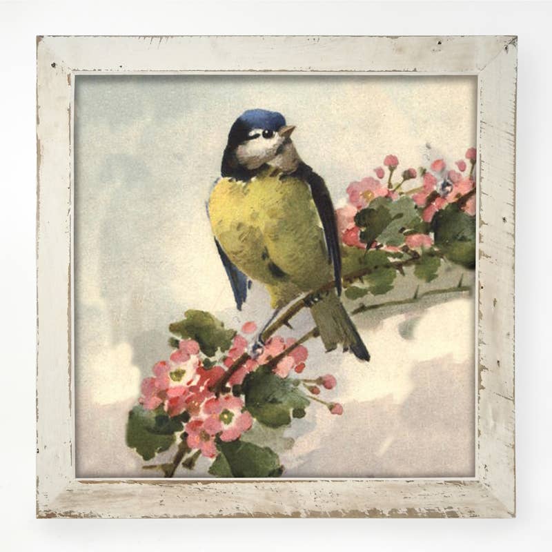 Blue Jay