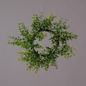Candle Ring- Boxwood