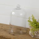 Glass Cloche Lg